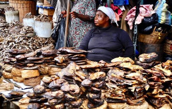 Cash Outside Banks Reaches ₵64.1 Billion Amid Festive Season Spending Surge