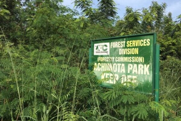 Achimota Forest Reserve – Accra’s Hidden Urban Nature Escape
