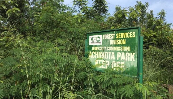 Achimota Forest Reserve – Accra’s Hidden Urban Nature Escape