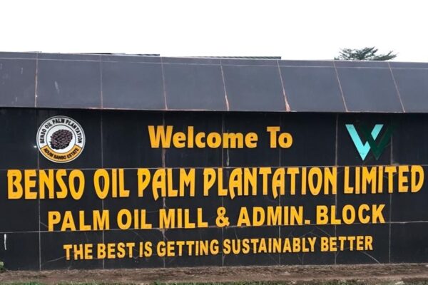 Benso Oil Palm Leads Ghana Stock Exchange Gainers as Market Cap Reaches GH¢282.9 Billion