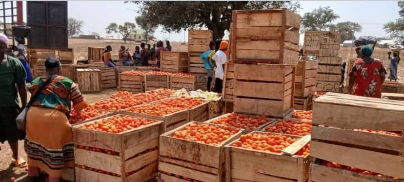 Ghana Trade News: Colombia Port Deal, DVLA Crackdown, Burkina Faso Tomato Ban