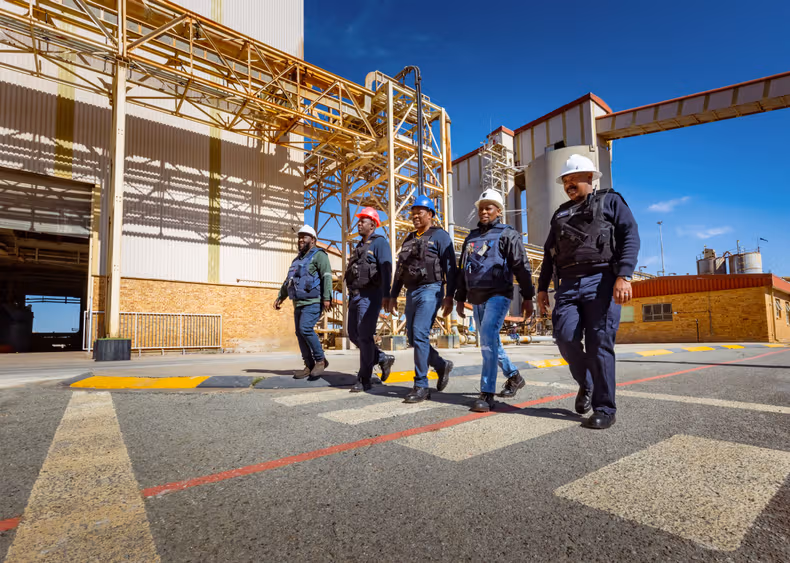 Harmony Gold Profit Jumps as Global Bullion Rally Delivers Record Dividend