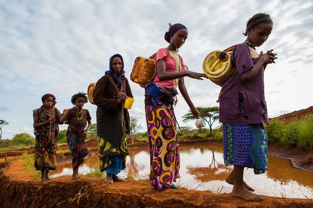 Ghana’s Tomato Crisis: How Heavy Reliance on Burkina Faso Is Costing Billions and Wasting Jobs