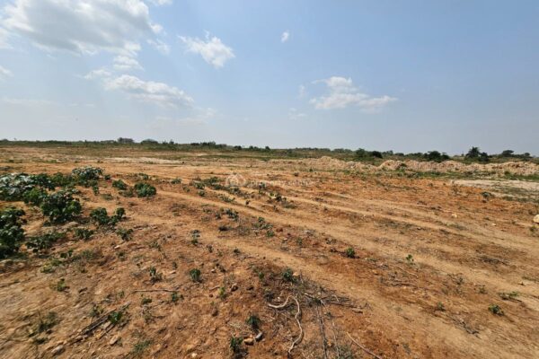 10 Costly Mistakes People Make After Buying Land in Ghana