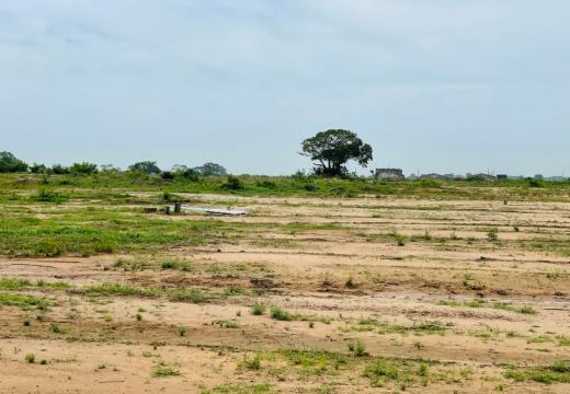 Step-by-Step: What to Do Immediately After Buying Land in Accra