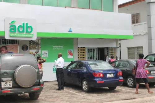 Agricultural Development Bank PLC: The Paradox of Profit and Purpose