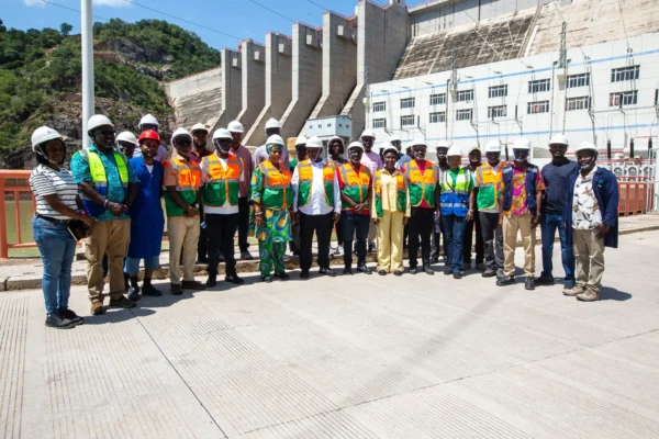 Bui Power Authority