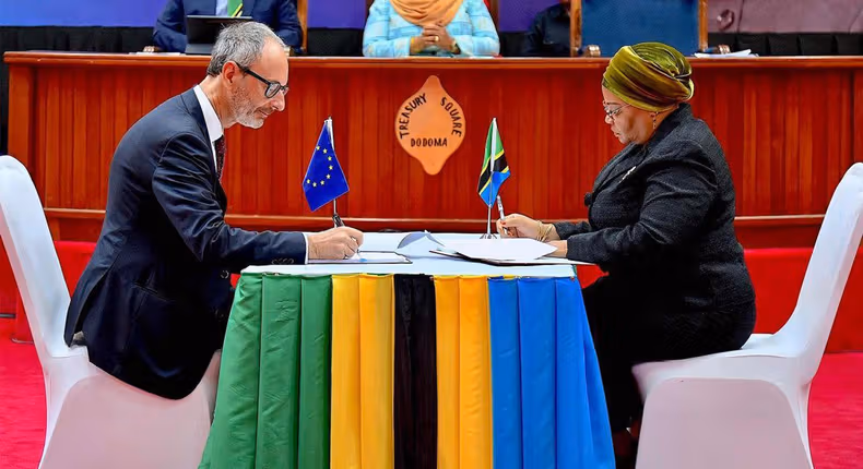 EU Parliament Seeks to Block $179 Million Aid to Tanzania Over Rights