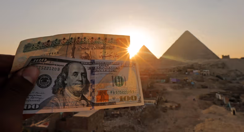 Egypt's Pound Becomes World's Best-Performing Currency as Oil Prices Collapse
