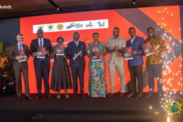 Ghana Shifts FDI Strategy to Maximise Economic Value From $2.6 Billion Inflows