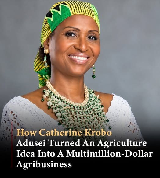 How Catherine Krobo Edusei Built Eden Tree Into an Investable Agribusiness